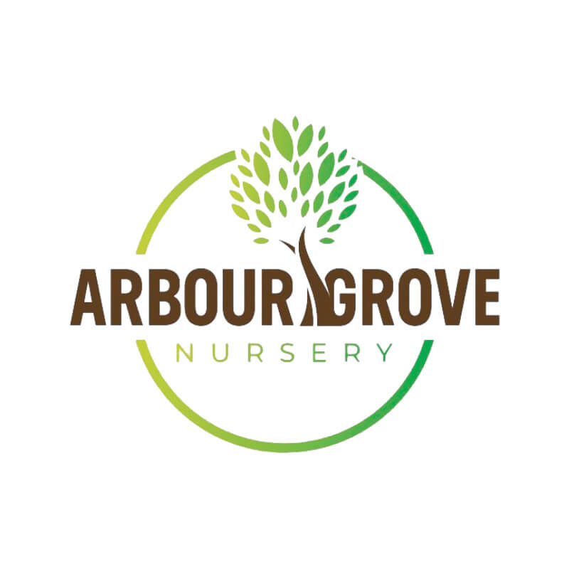 Arbour Grove Nursery